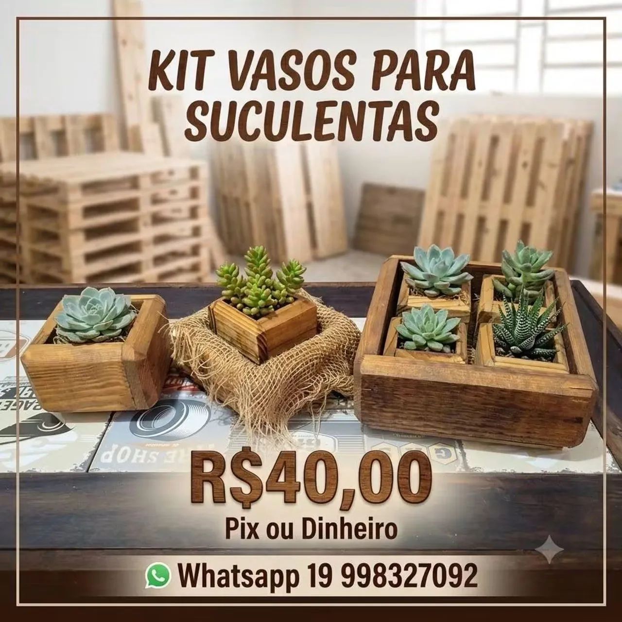 Vasinho palete 