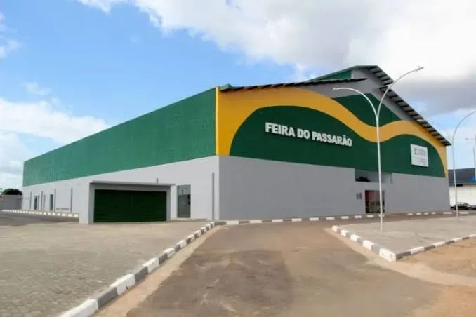 Galinhas pé seco - Foto 2
