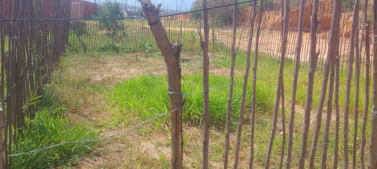 Terreno e loteamento - Foto 2