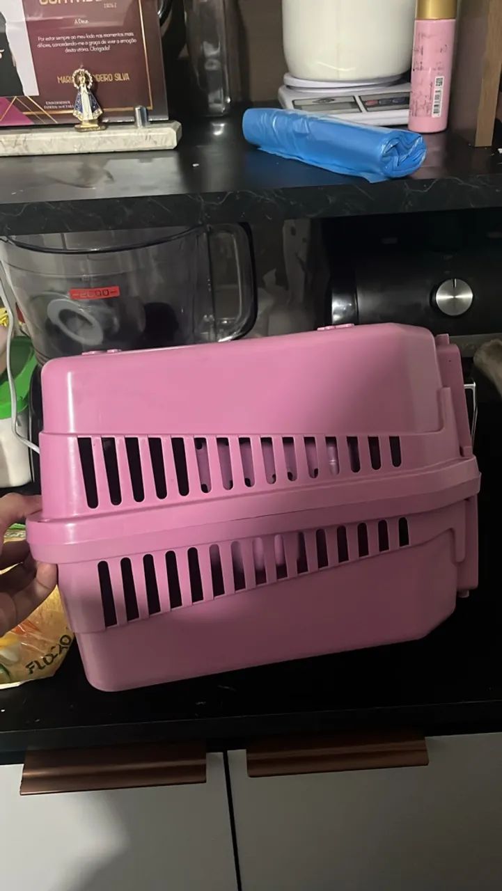 caixa transporte pet
