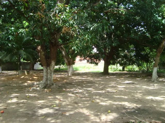 TERRENO para alugar na cidade de FORTALEZA-CE - Foto 4