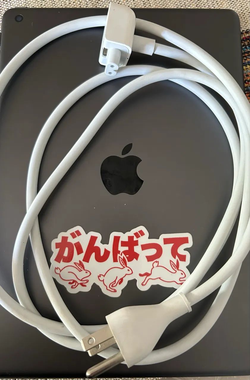 Cabo Extensor Apple Original  (MacBook)