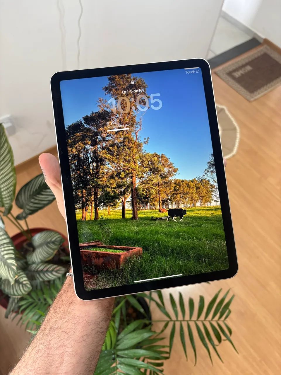 Ipad Air 5°th 256gb 8 RAM - Tablets e E-Readers - Pioneiros, Campo