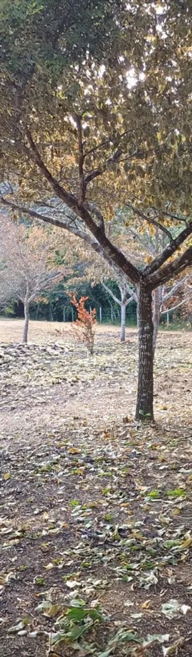 Terreno c/ casa em construção