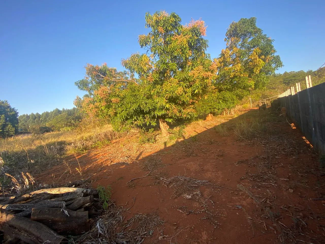 Terreno a beira da rodovia.  - Foto 2