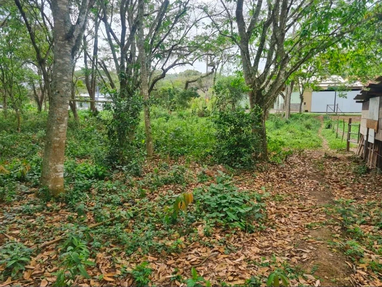 Vendo terreno em Pinheiral - Foto 4