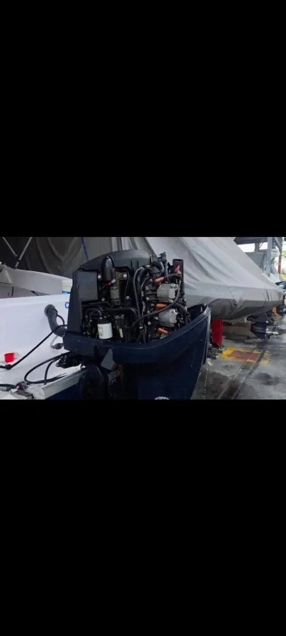 Motor de polpa Evinrude
