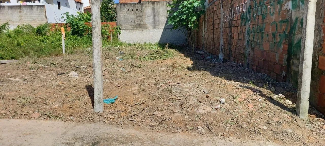 TERRENO / DOM LUCIANO.   - Foto 4