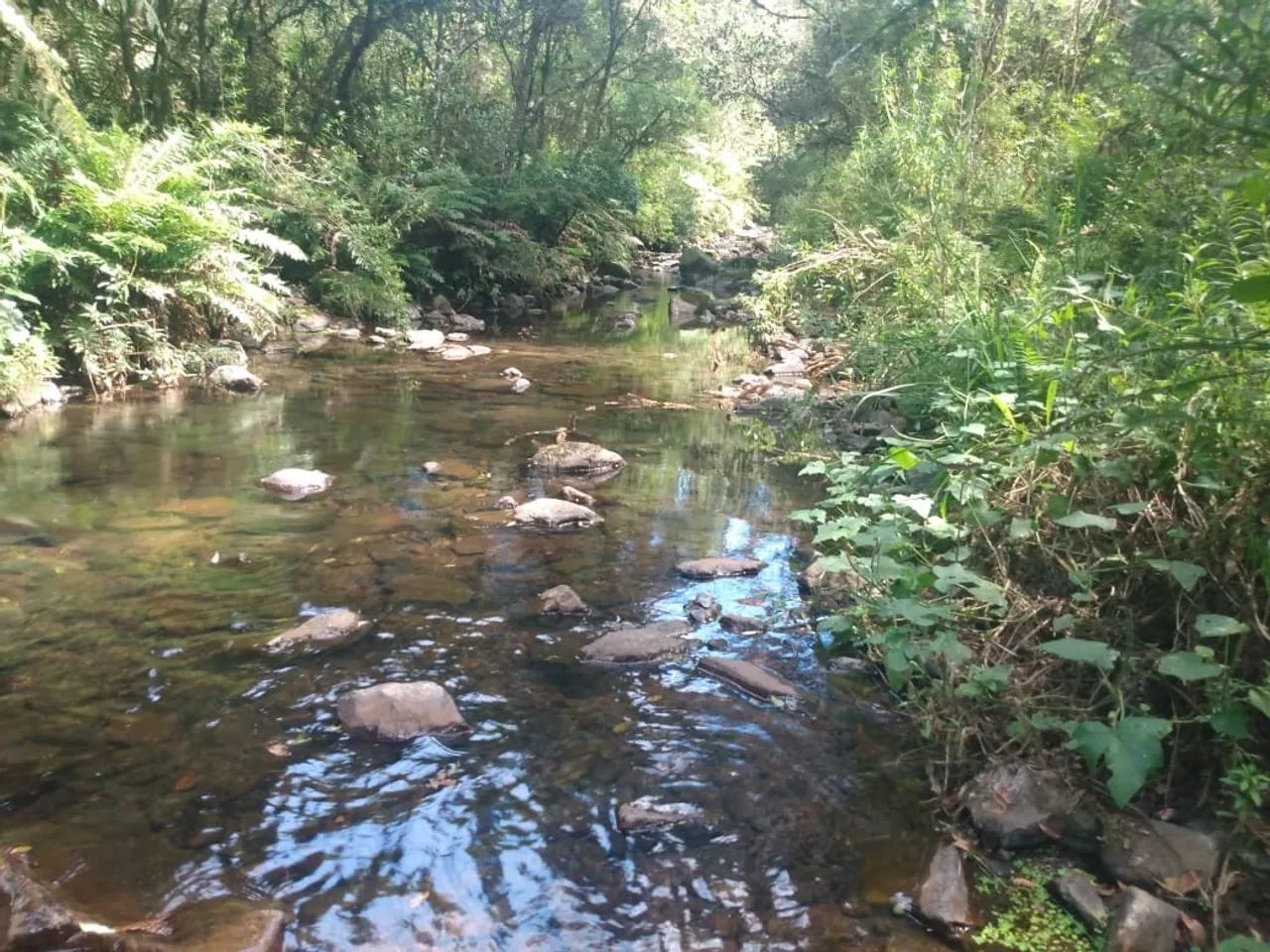 Terreno próximo a Serra do Rio do Rastro - Foto 2