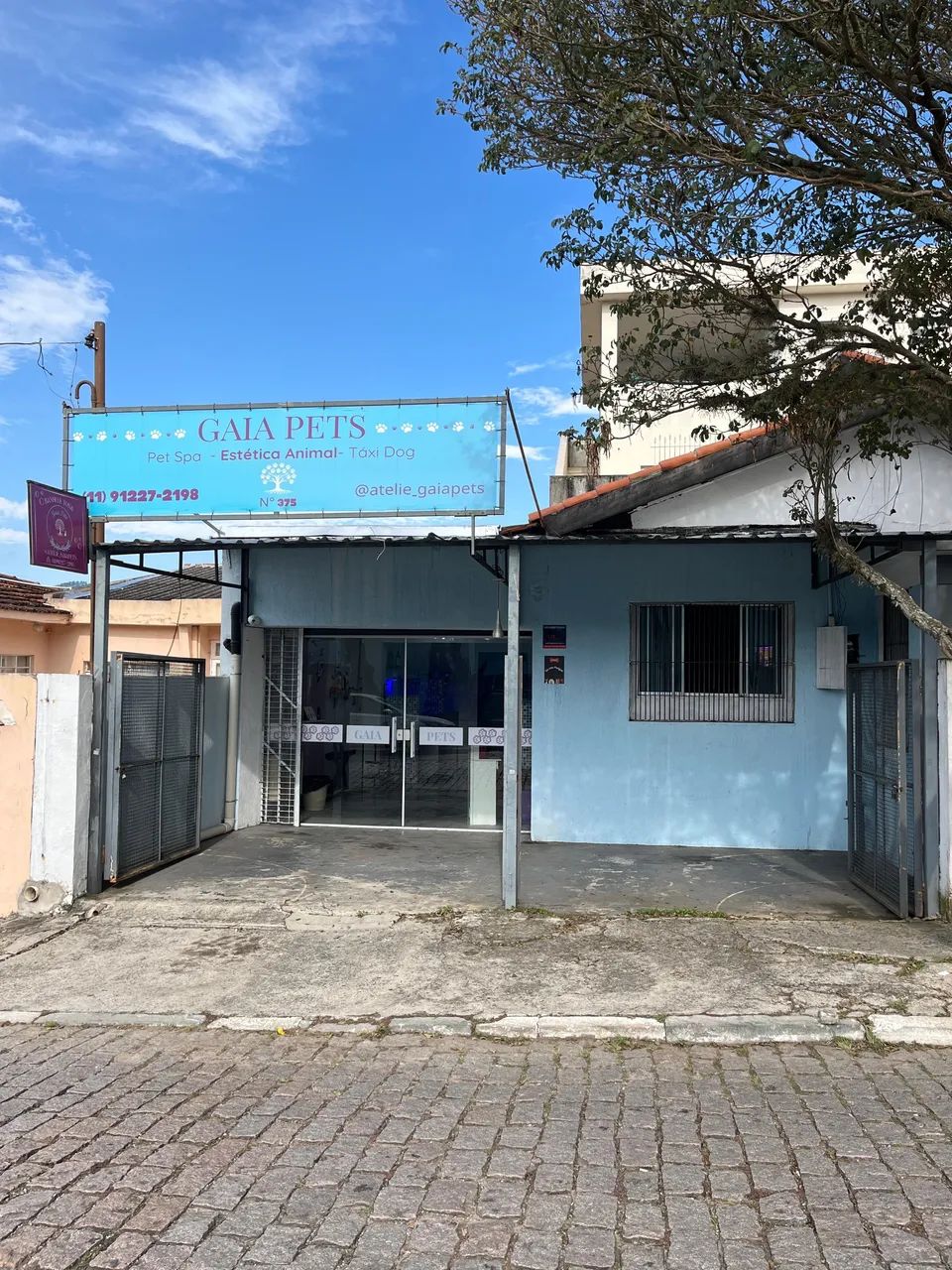 Banho e tosa promissor em Mairiporã - Foto 3
