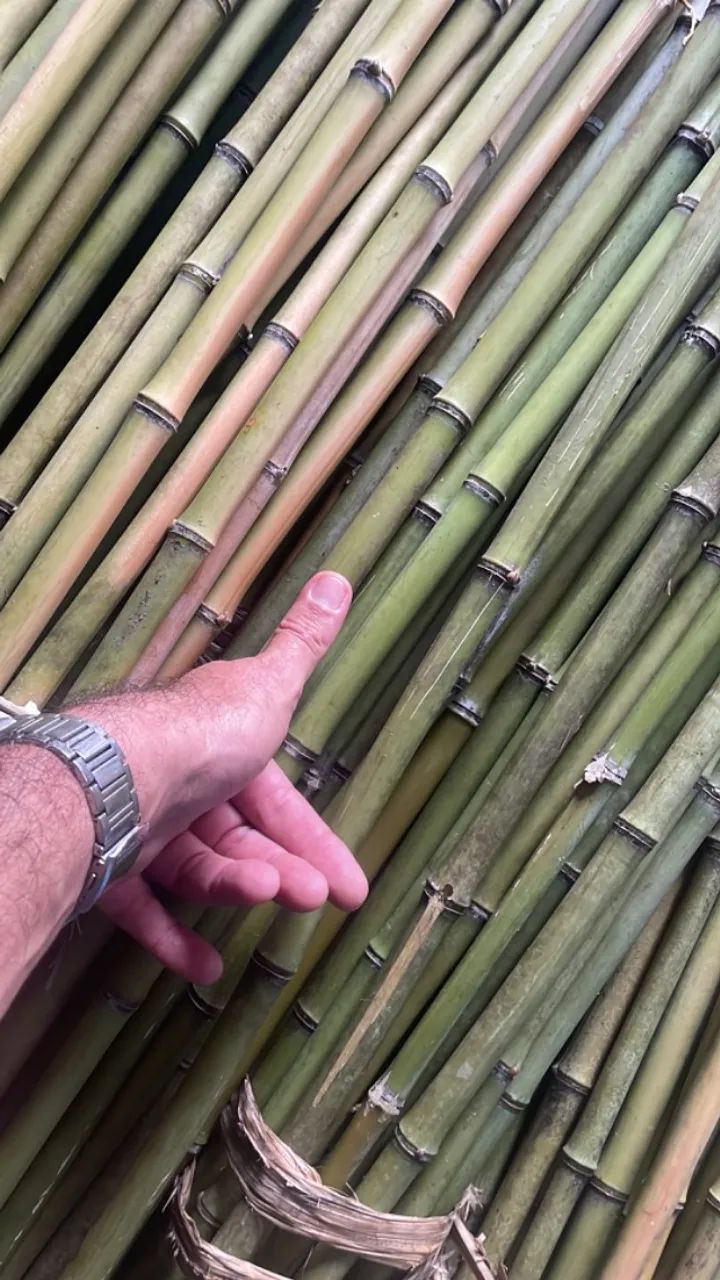 Vara de caniço para bandeiras - Foto 2