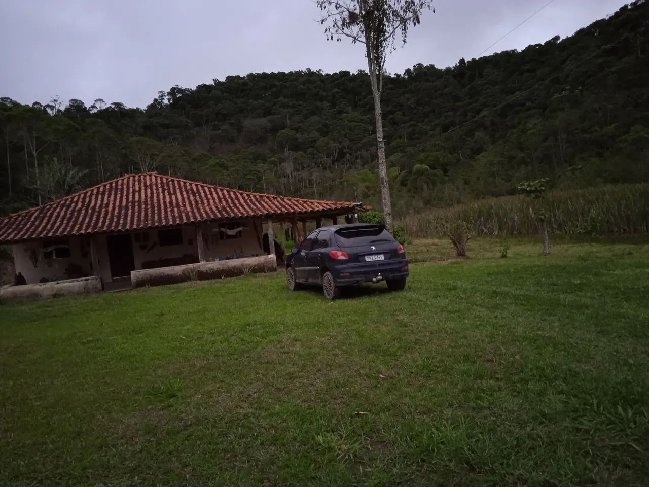 Alugo sítio em mercês mg - Foto 2