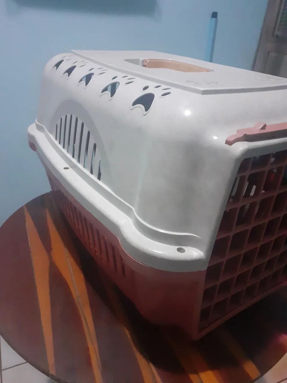Caixa de Transporte para Cães e Gatos! - Foto 3