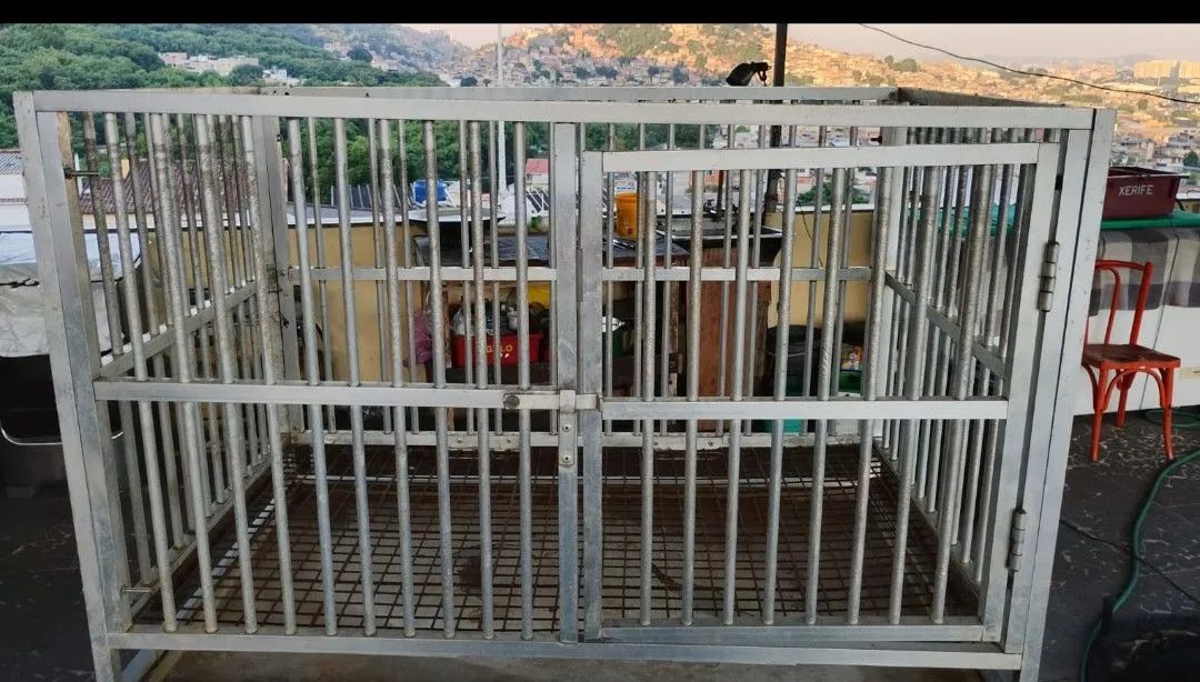 Canil vertical  - Foto 2