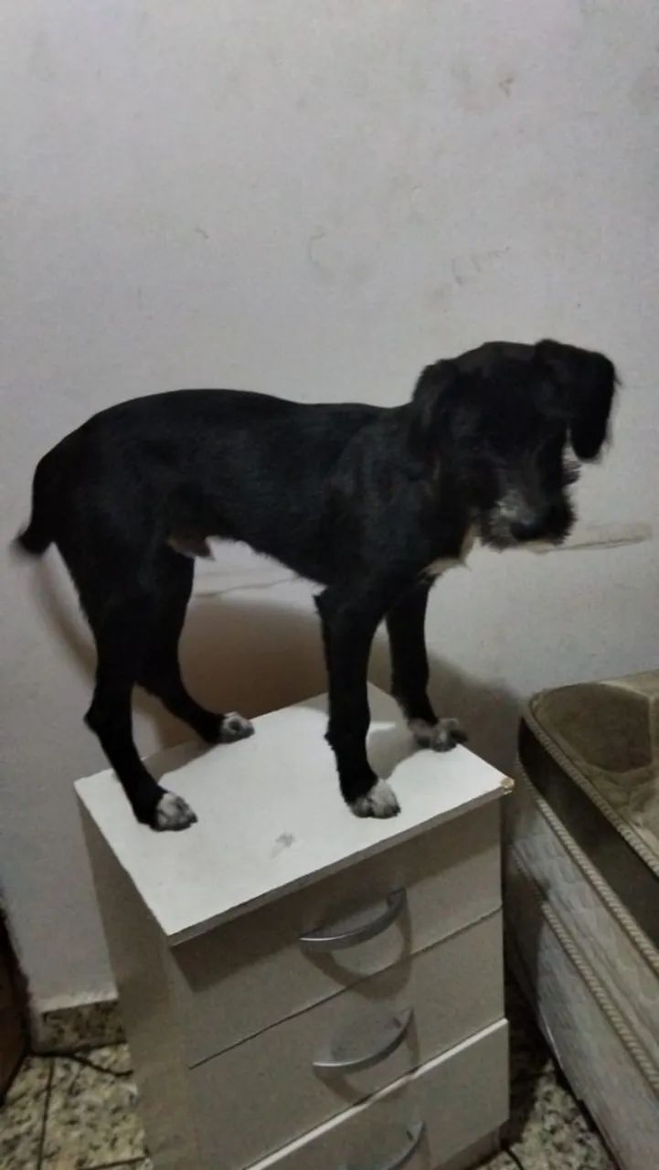 Doa se toddy