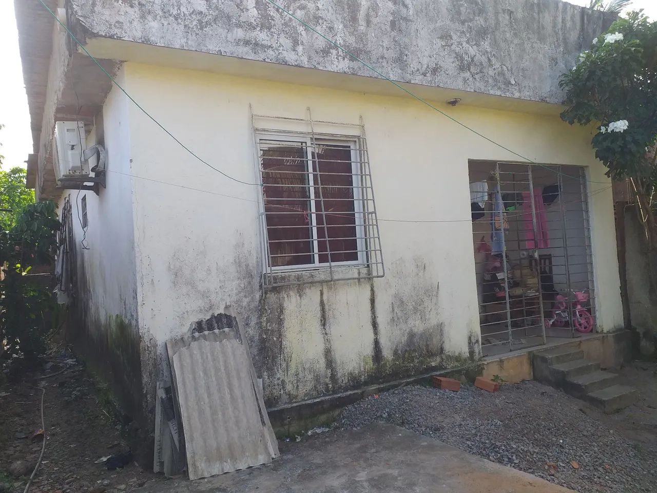 Foto - Paulista - Tabajara