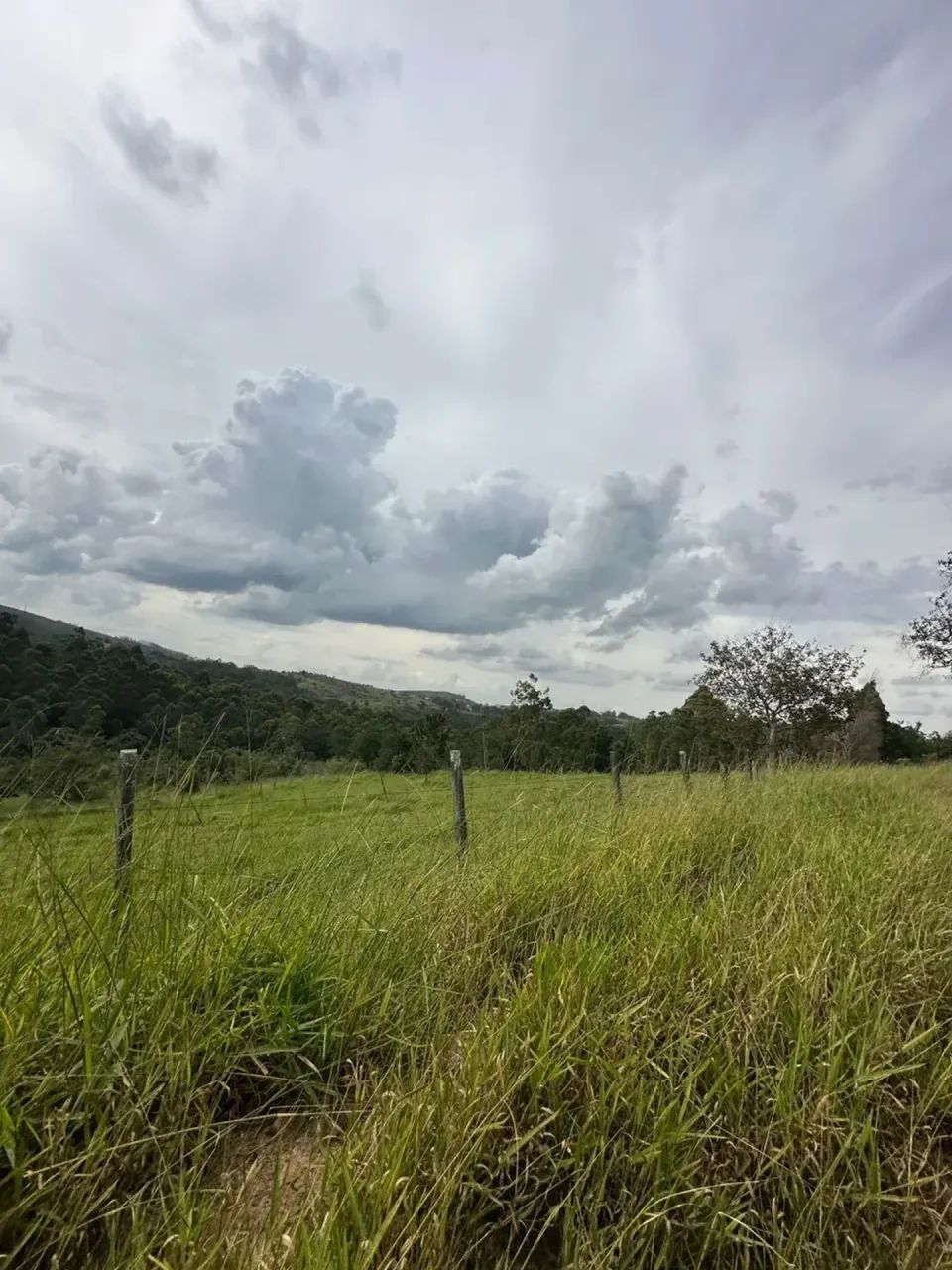 Lote com vista para o Morro do Saboó - Foto 2