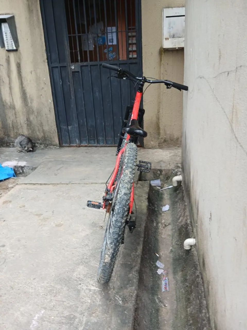 Bicicleta  - Foto 4