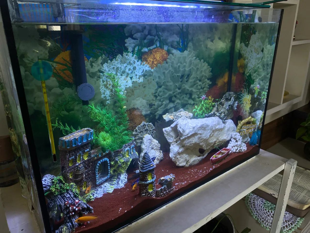 Aquário com base  - Foto 3