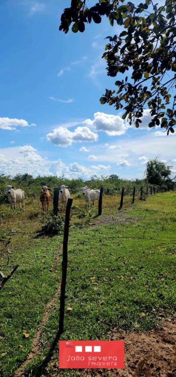 Fazenda para Venda em Luciara - Foto 3