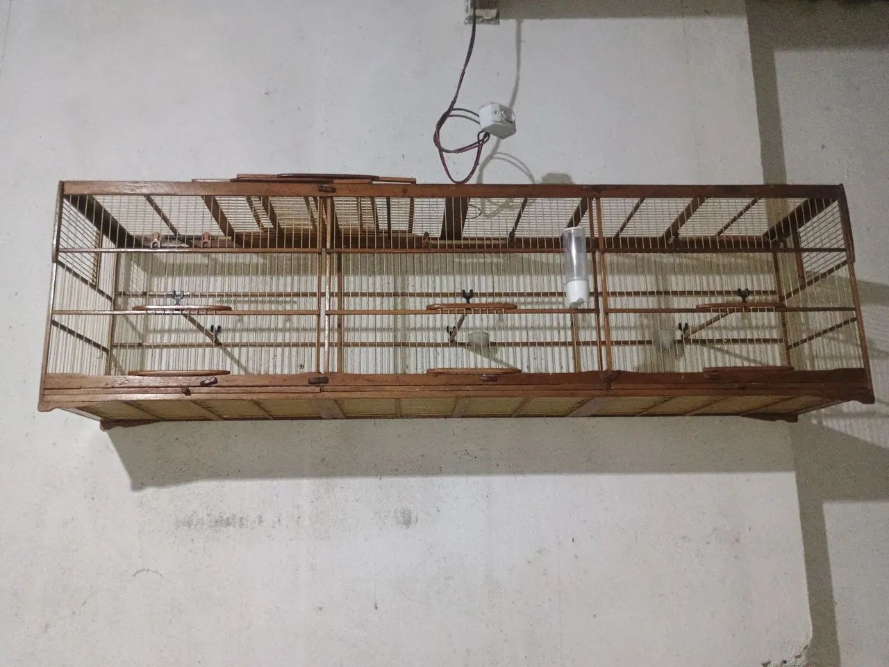 Gaiolas 65093396672769120