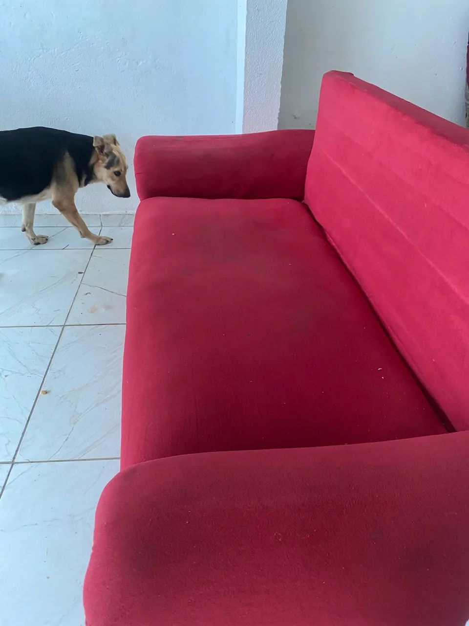Sofá  - Foto 3