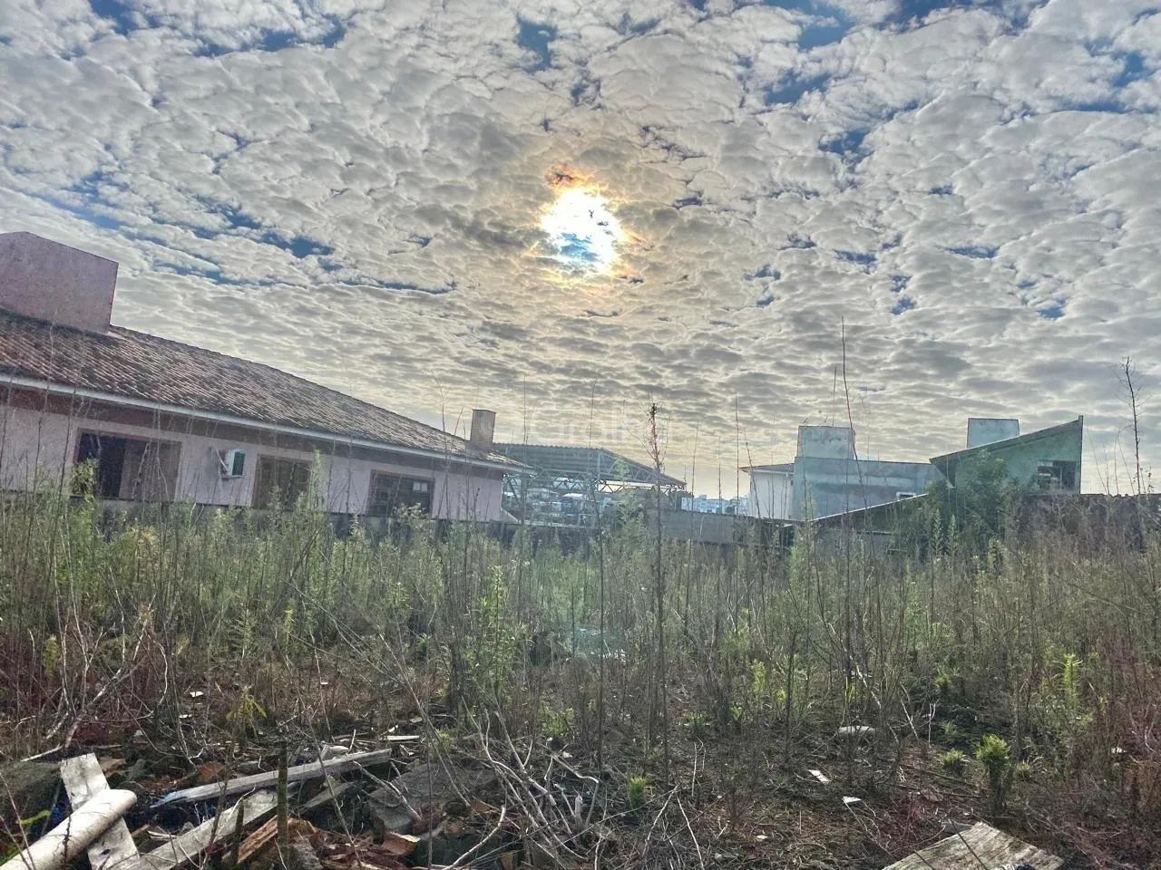 tTerreno de 429m² em Capoeiras - Foto 5