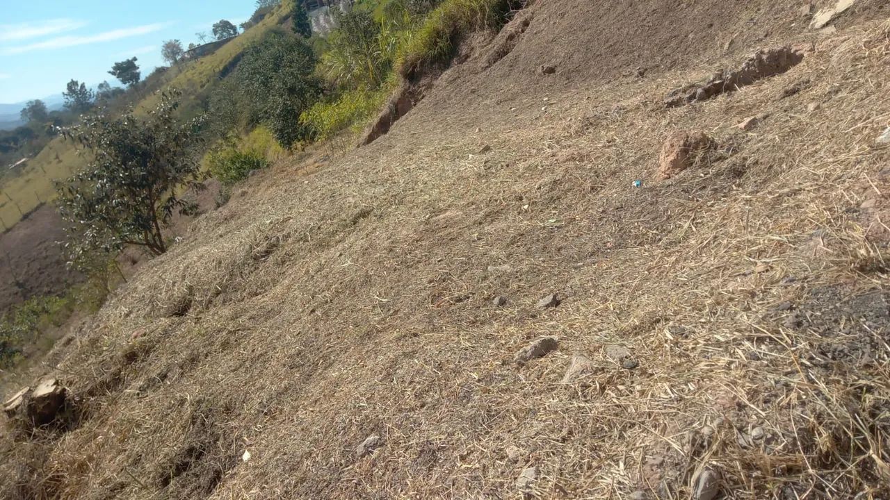 Foto - Suzano - Cidade Miguel Badra