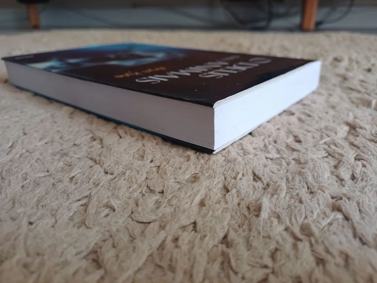 O Deus dos animais - Aryn Kyle - Foto 5