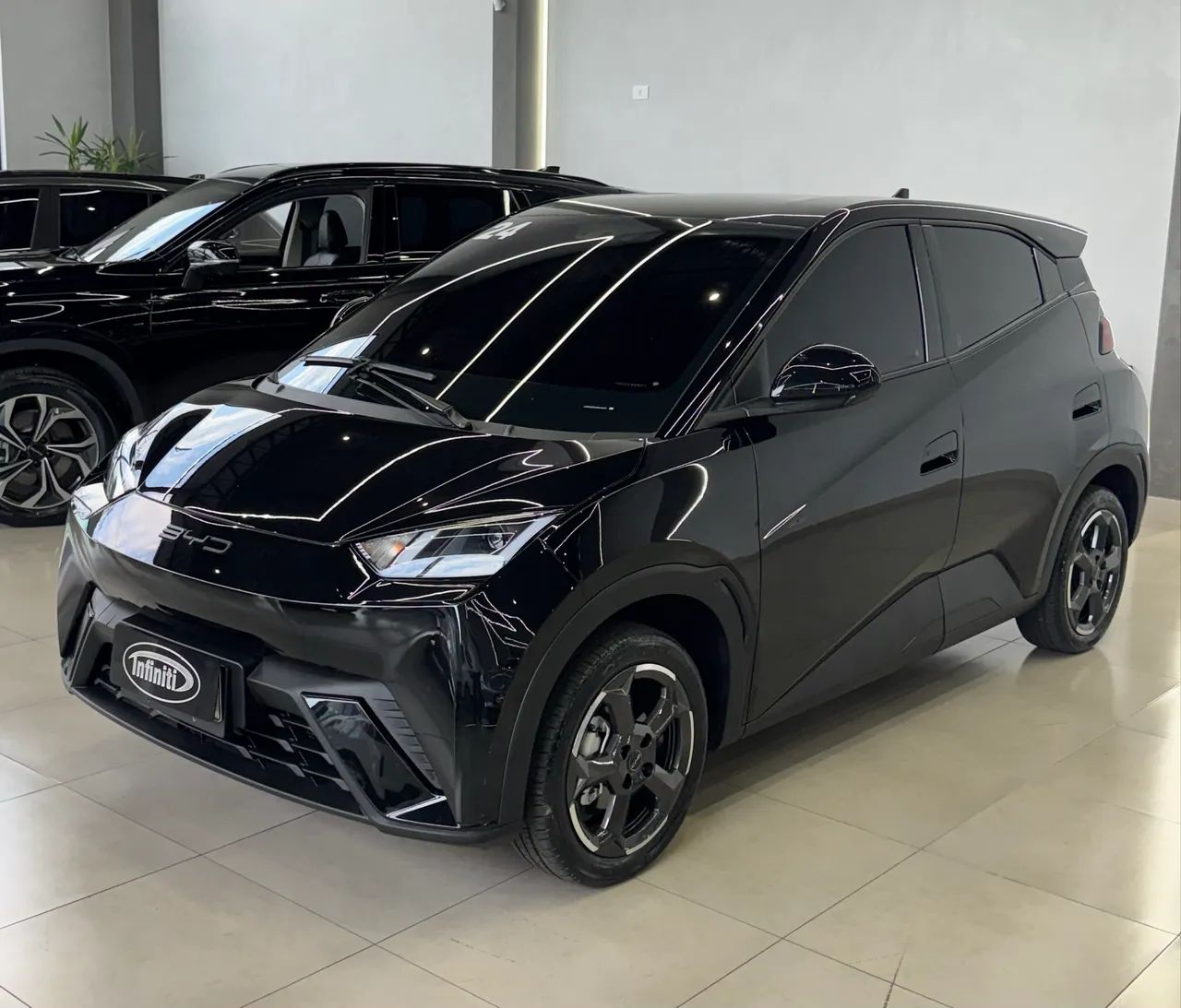 BYD Dolphin Mini (Elétrico) 2024 - Foto 2