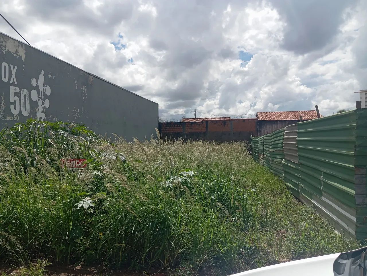 Foto - Uberlândia - Daniel Fonseca