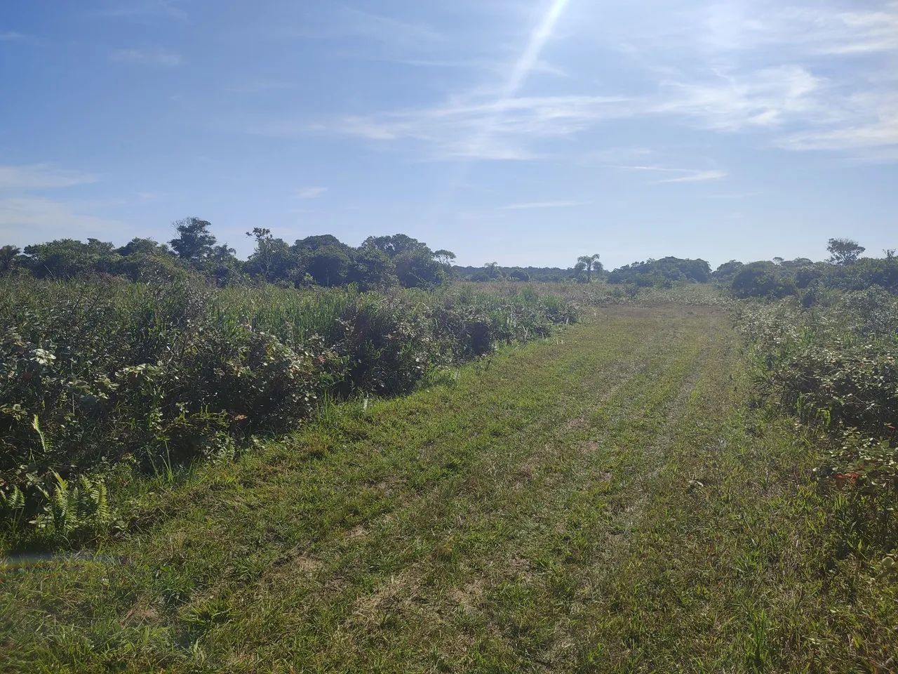 Terreno no Litoral Sul - Foto 2