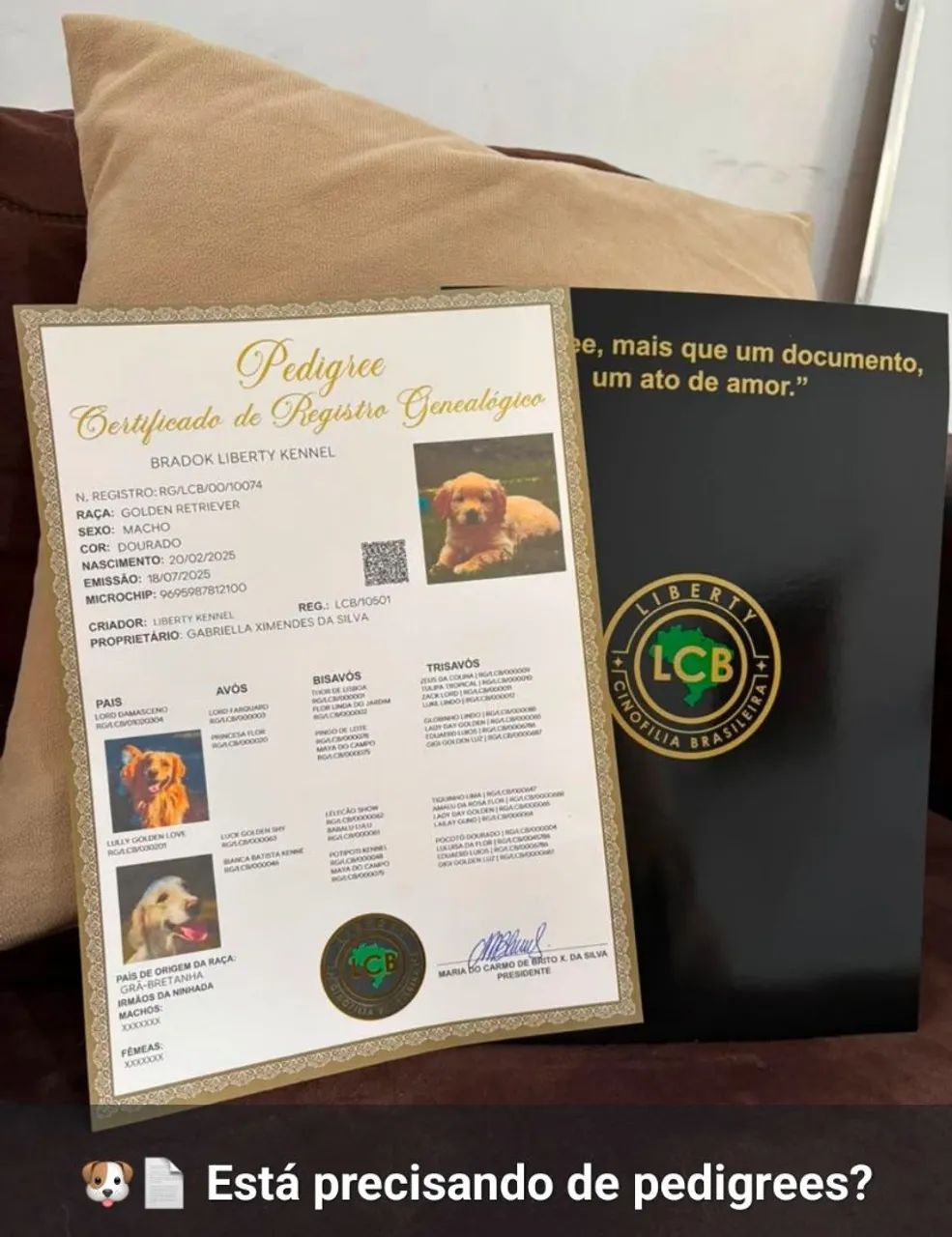Peça já o seu Pedigree  - Foto 3