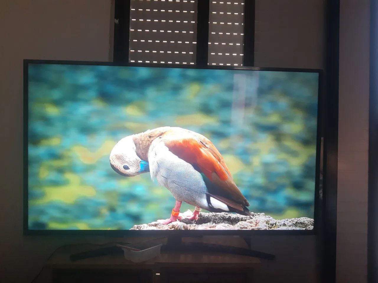 VENDE-SE TV 55 4K GOOGLE ASSISTENTE  - Foto 3