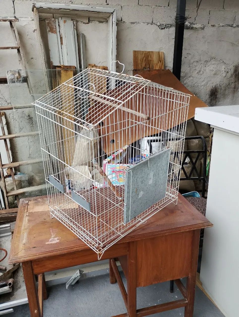 Gaiola de ferro hamster entrego 