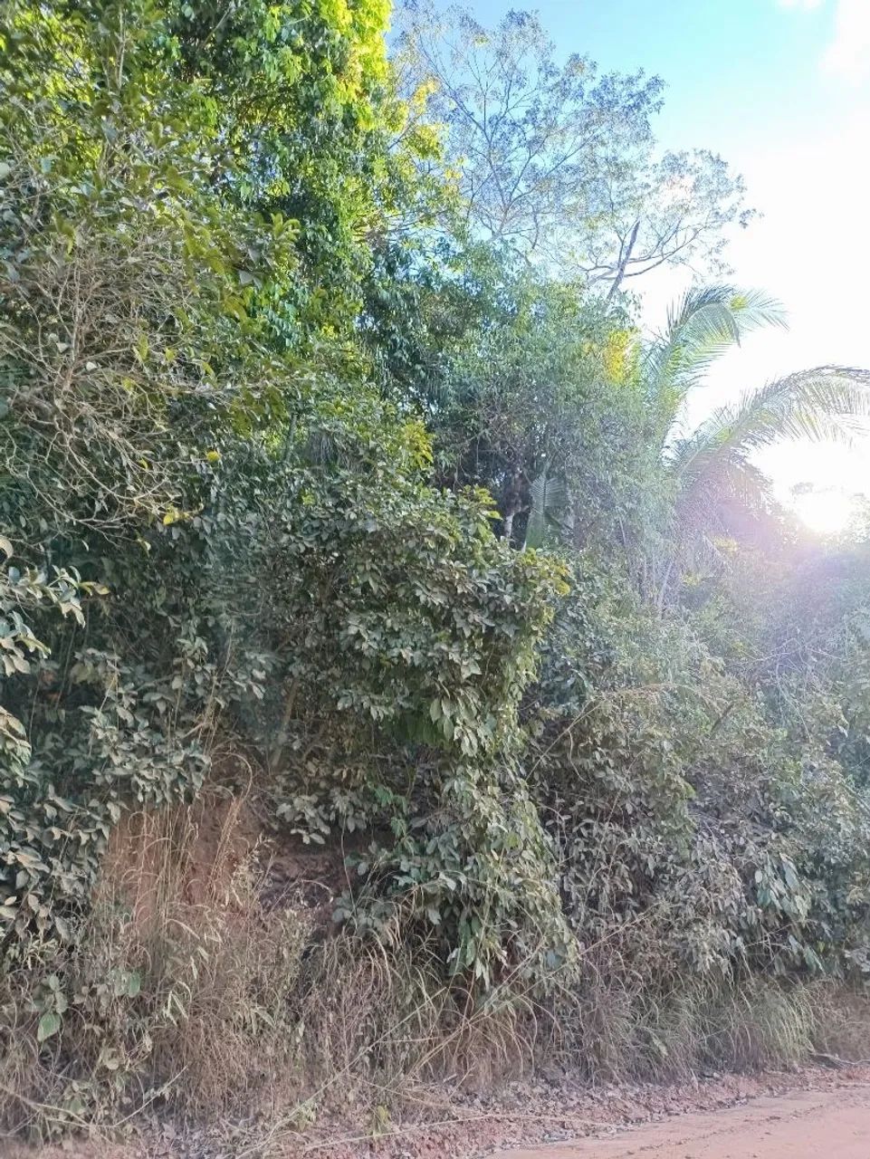 Chácara em taquaruçu  - Foto 3