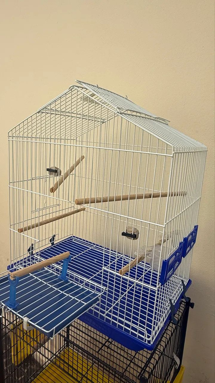 Gaiolas novas 