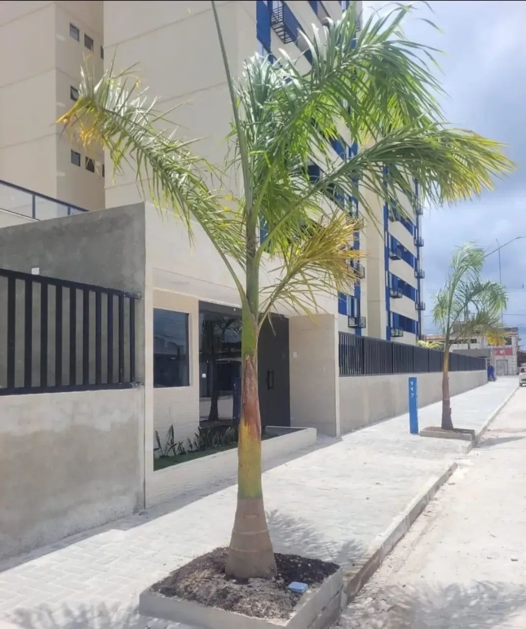 Imóvel para venda possui 55 metros quadrados com 2 quartos - Foto 2