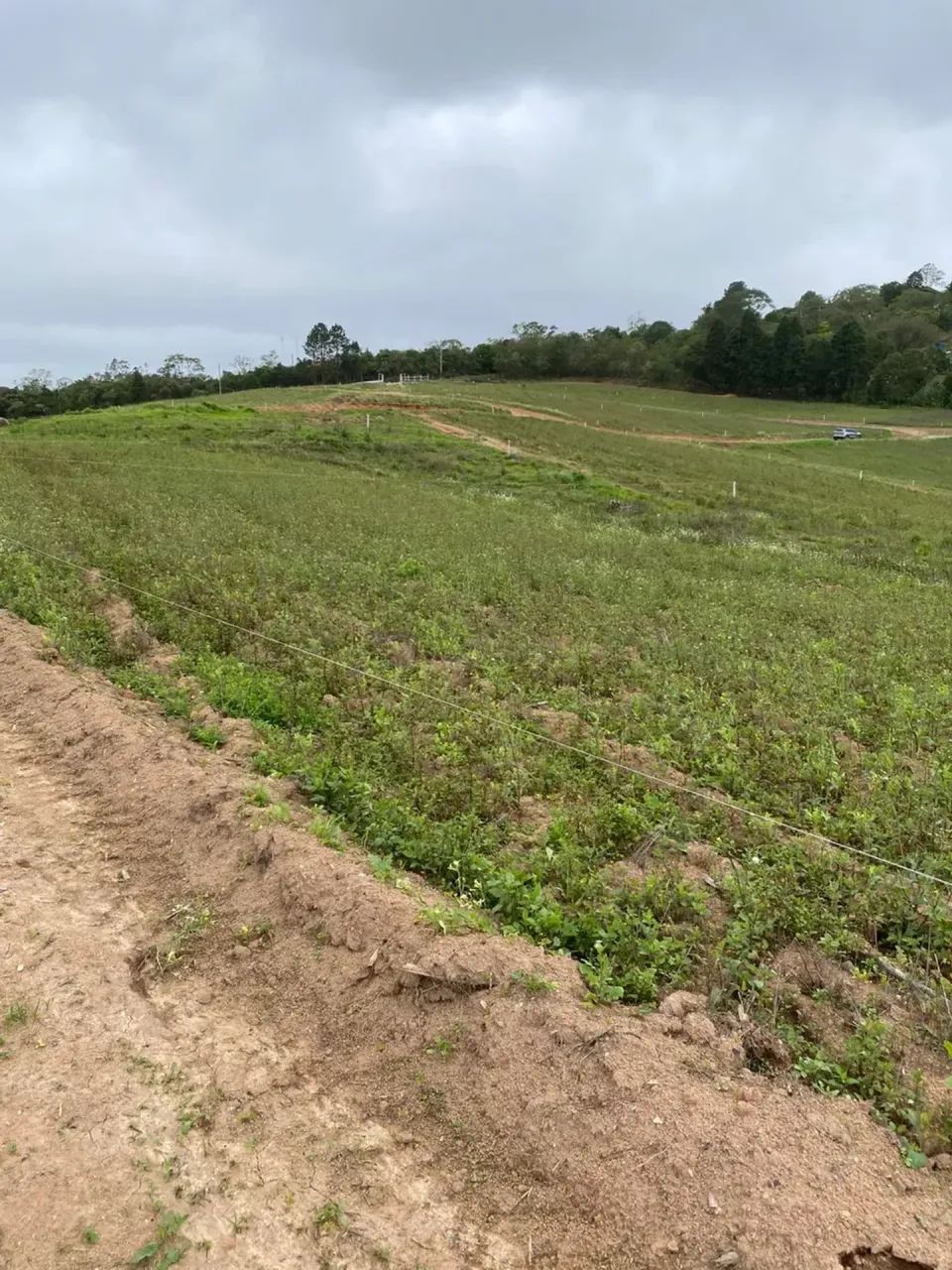 Invista hoje no seu lote em Cotia! - Foto 5