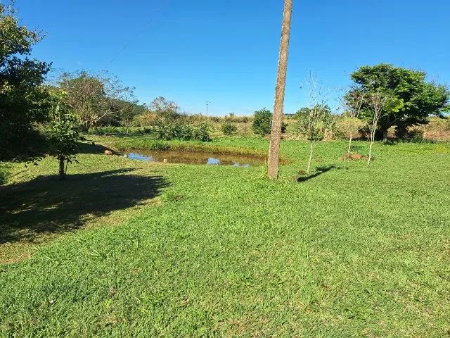  Haras Duas Lagoas - Foto 4