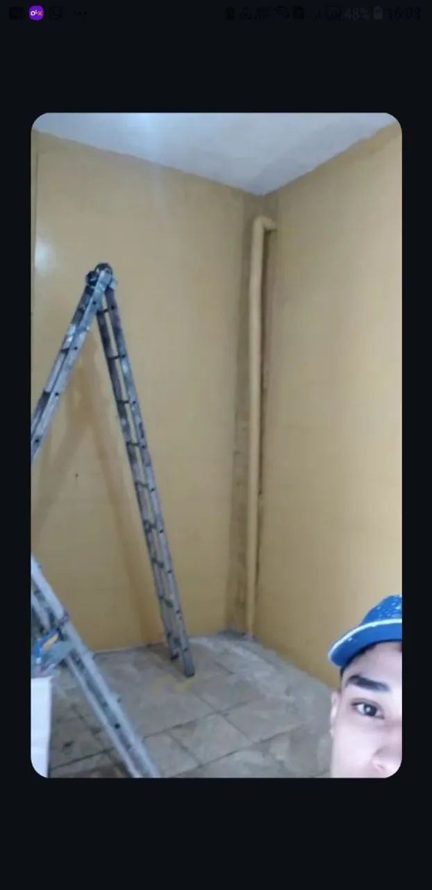 Pintura somente 