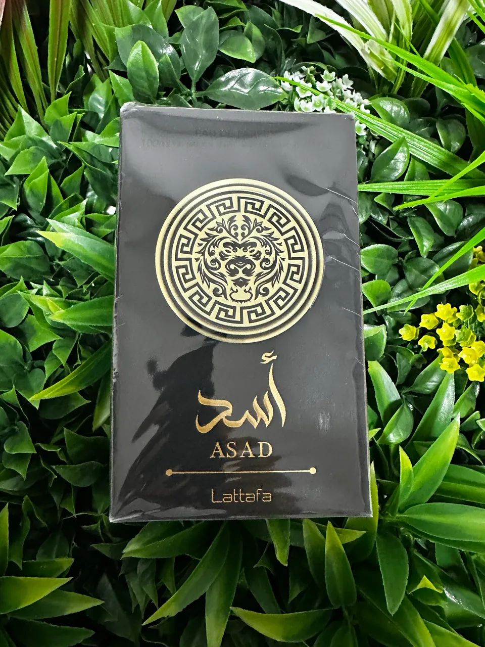 PERFUME ÁRABE ORIGINAL LATTAFA ASAD