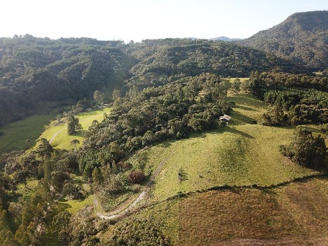 Terreno/Sítio - Foto 5