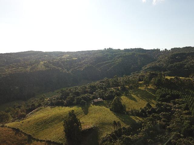 Terreno/Sítio - Foto 7