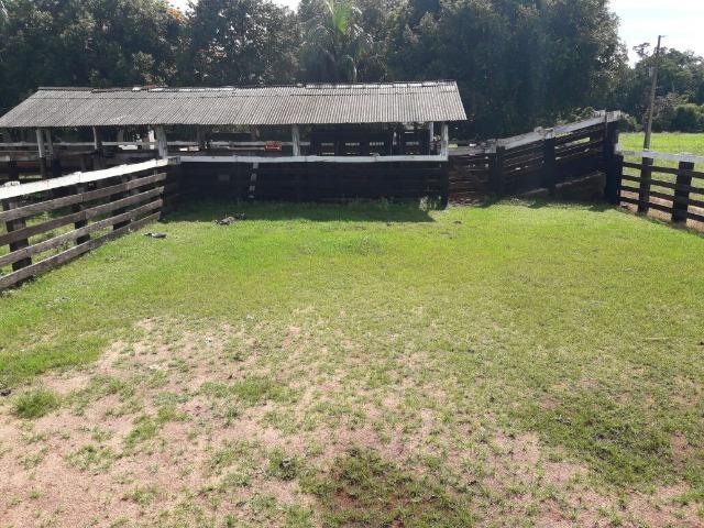 Fazenda de 261 alqueires, com 250 aberto 30 km de Nova Santa Helena -MT - Foto 6
