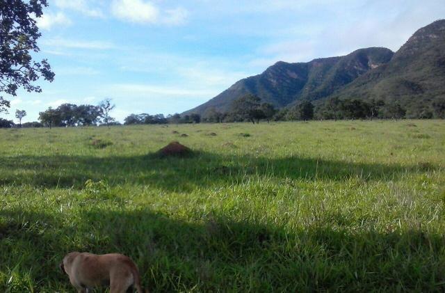 Lindo Sítio 20 alqueires em Formosa GO