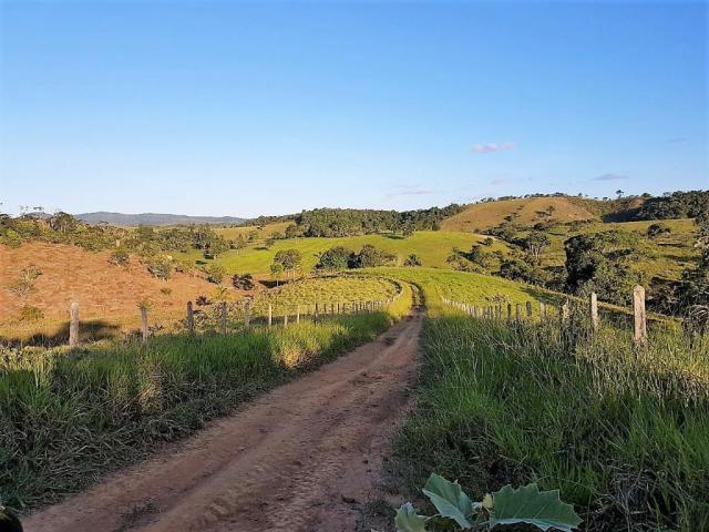 Fazenda 534 has em Tancredo Neves - Foto 19