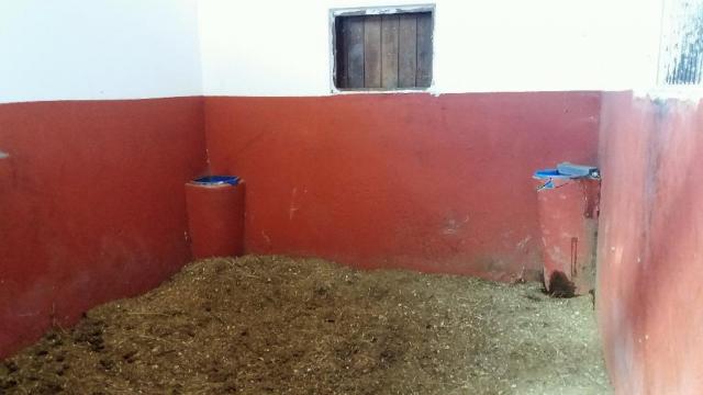 Haras em Louveira estruturado - Foto 5