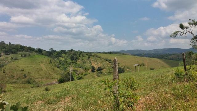 Fazenda 240 has em Tancredo Neves/BA