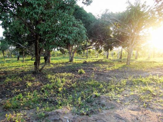Terreno de 900 mil m2 em Porto Seguro - Foto 7